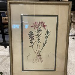 Botanicals From Bombay