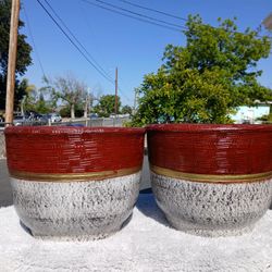 Plant Pots