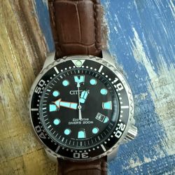 WATCH CITIZEN DIVER RELOG