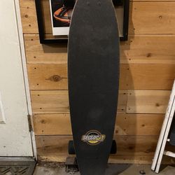 Long Board Skate Board