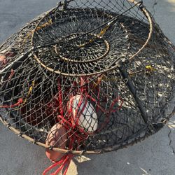 Lobster Traps