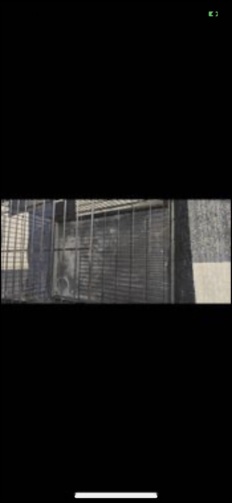 Pet Cage