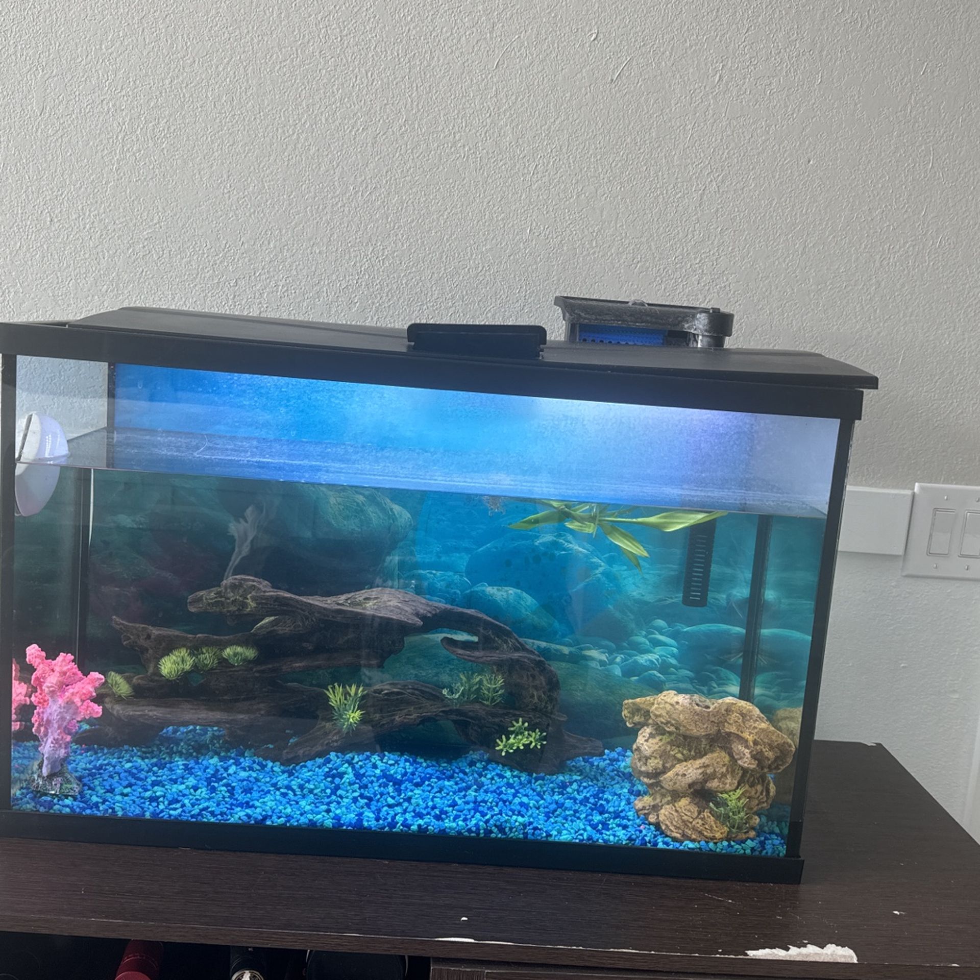 Fish Tank With UV Light and Decor 