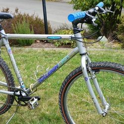 Raleigh Chill 1992 MTB 26