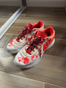 Lebron 20 Mimi Plange Colorway