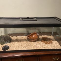 Reptile enclosure