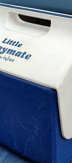 Igloo Lunch Cooler