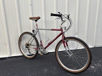 Vintage Oldschool Skyway MTB Retro Bike (Super Rare!!)