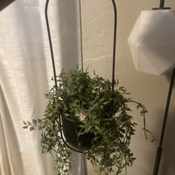Metal Plant Hanging 