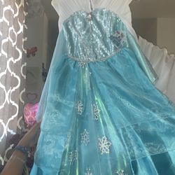 Elsa Princess Dress 