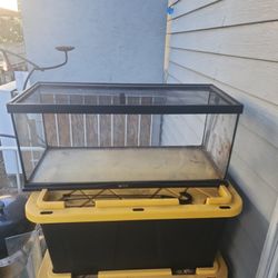 20 Gallon Long Reptile Tank With Screen Top!
