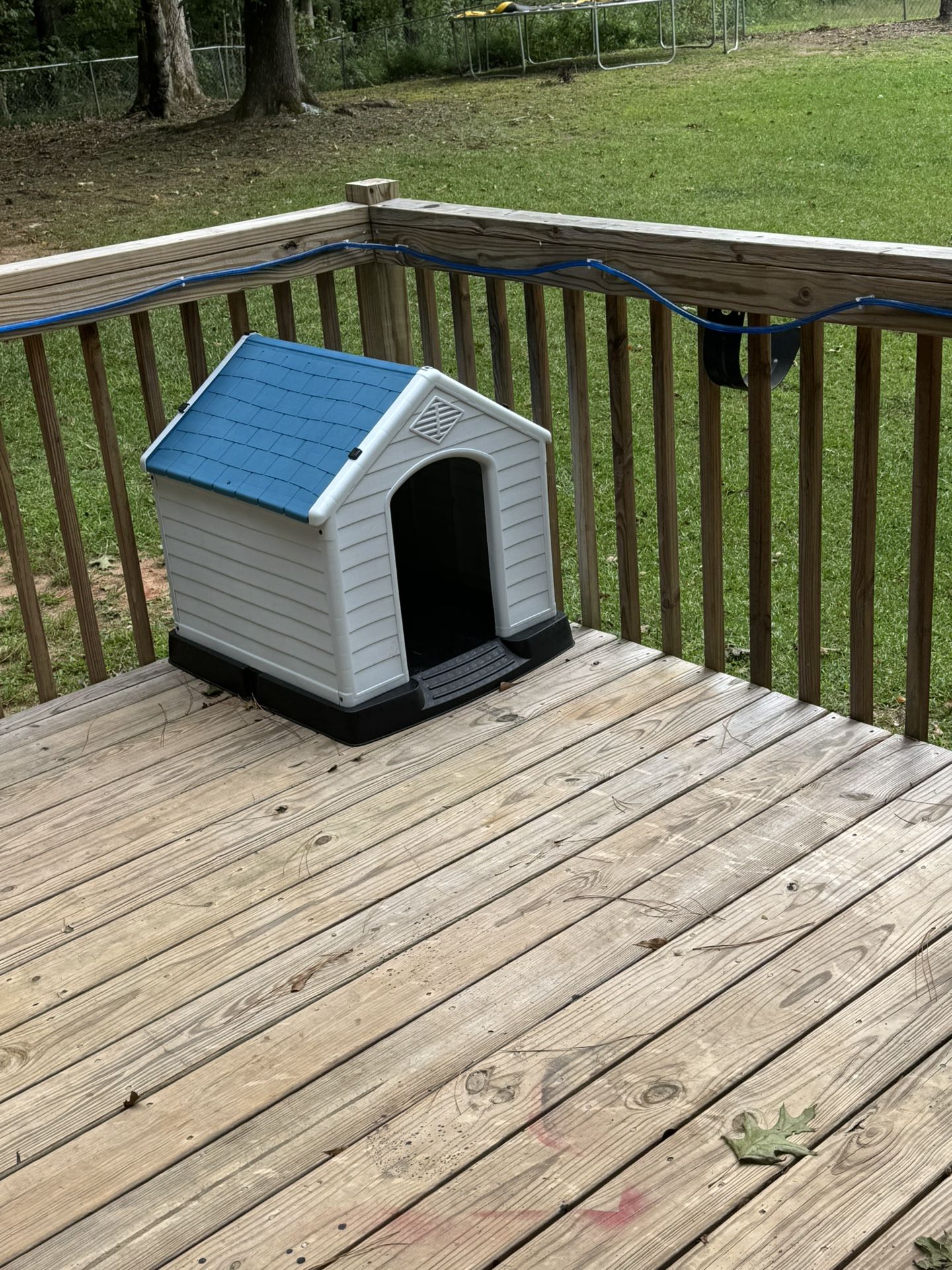 Dog House
