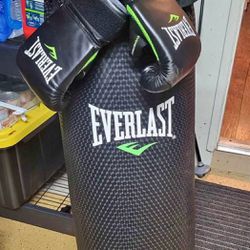Punching Bag And Boxing Gloves 