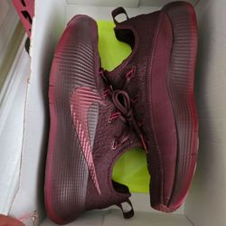 Nike lebron tr1