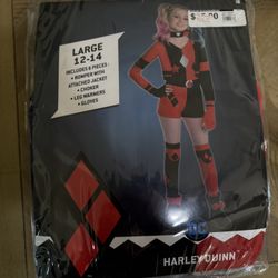 DC Harley Quinn Costume 