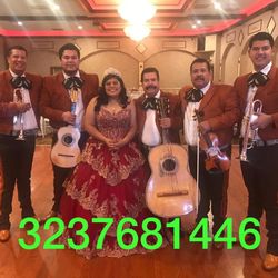 Trumpet Violín Mariachi
