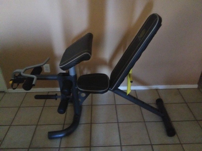 Gold's Gym Weight Bench W/ Squat Rack And Weights.