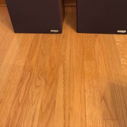 Bose Interaudio SA300 Speakers (pair)