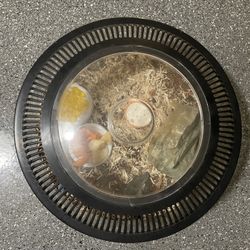 Beetle Tank and Accessories 