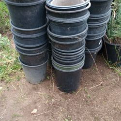 5 gallon nursery pots