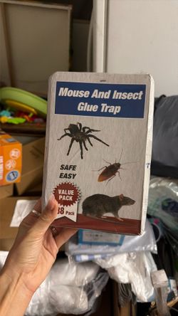 Insect And Mouse Trap 
