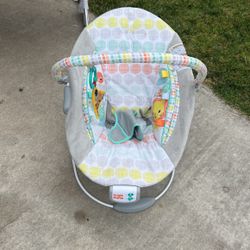 Baby Bouncer 