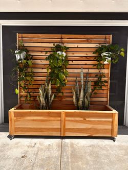 Privacy Trellis Planter