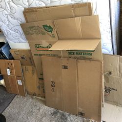 Cardboard Boxes
