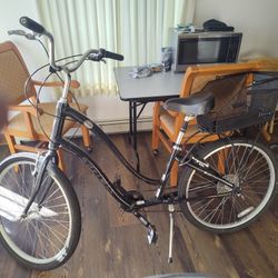 5-speed Trick Bike Female