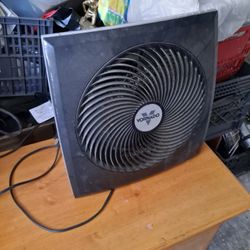 Fans