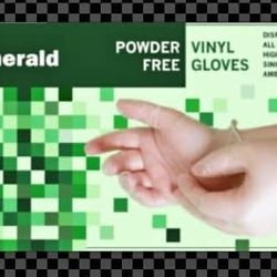 Vinyl Gloves - Emerald Shannon Powder Free Vinyl 4 Mil Gloves