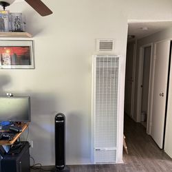 🔥 Williams Single Wall Heater – Natural Gas