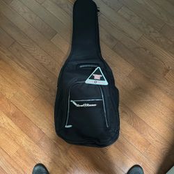 Guitar Bag 