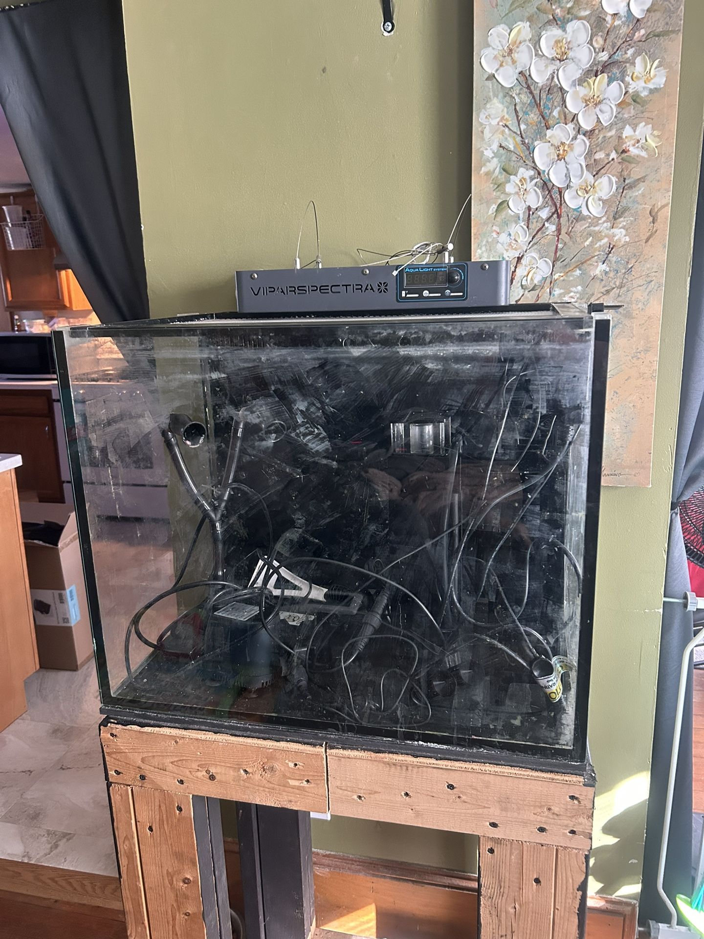 Innovative Marine 40gql All In One Reef Tank
