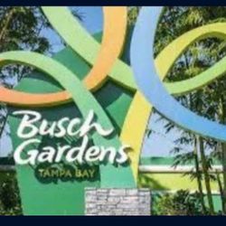 Busch Garden Tampa 