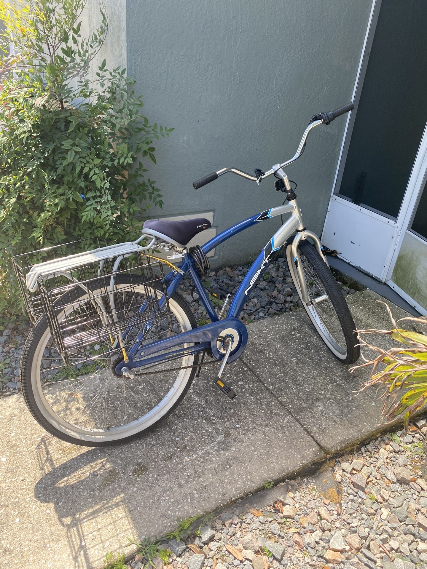 Adult Bike