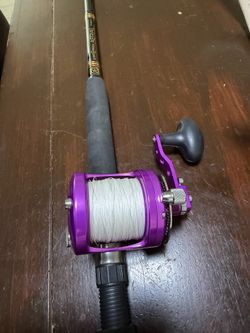 Avet mxl raptor mc star rod combo
