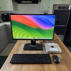 Apple Mac Mini Desktop Computer With Dell Monitor, Keyboard And Mouse - Intel i5 / 8GB Memory / 500GB Hard Drive / MS Office Installed 