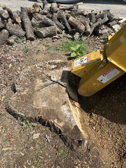 Stump Grinder 🦺