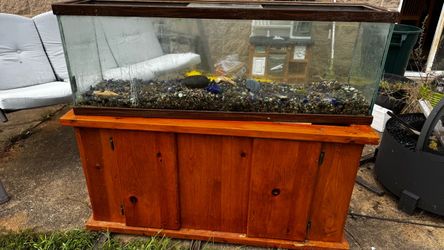 55 Gallon Aquarium w/ stand & cover/light