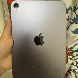 ipad mini purple 6th generation 8.3 inch