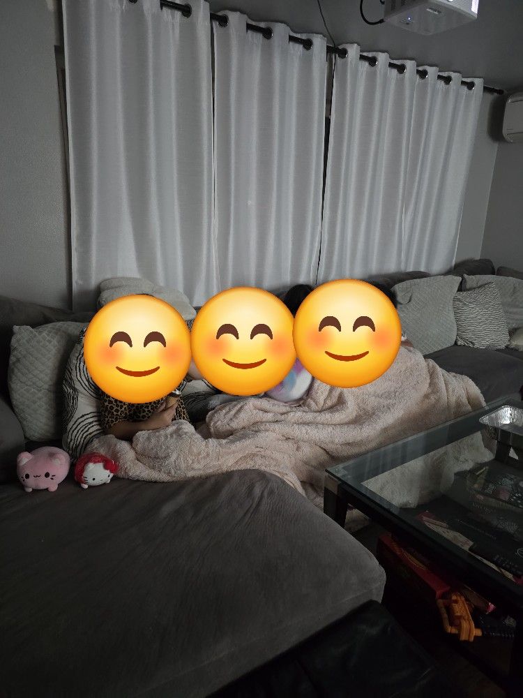 FREE Large Sectional Couch