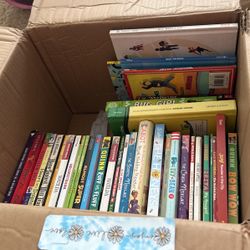 38 Kids Books Including Disney ,Ronald Dalh , And Goosebumps 