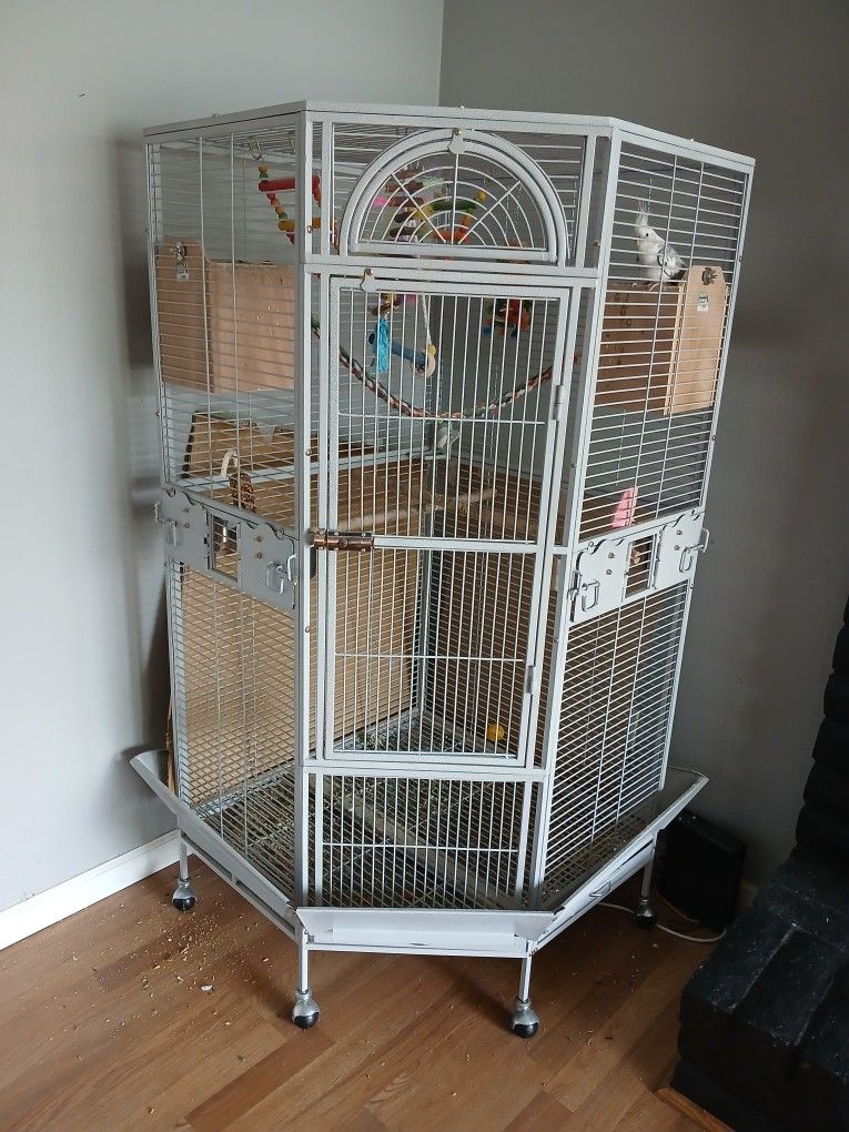 Big Bird Cage Parrot Cage Xxl Cage