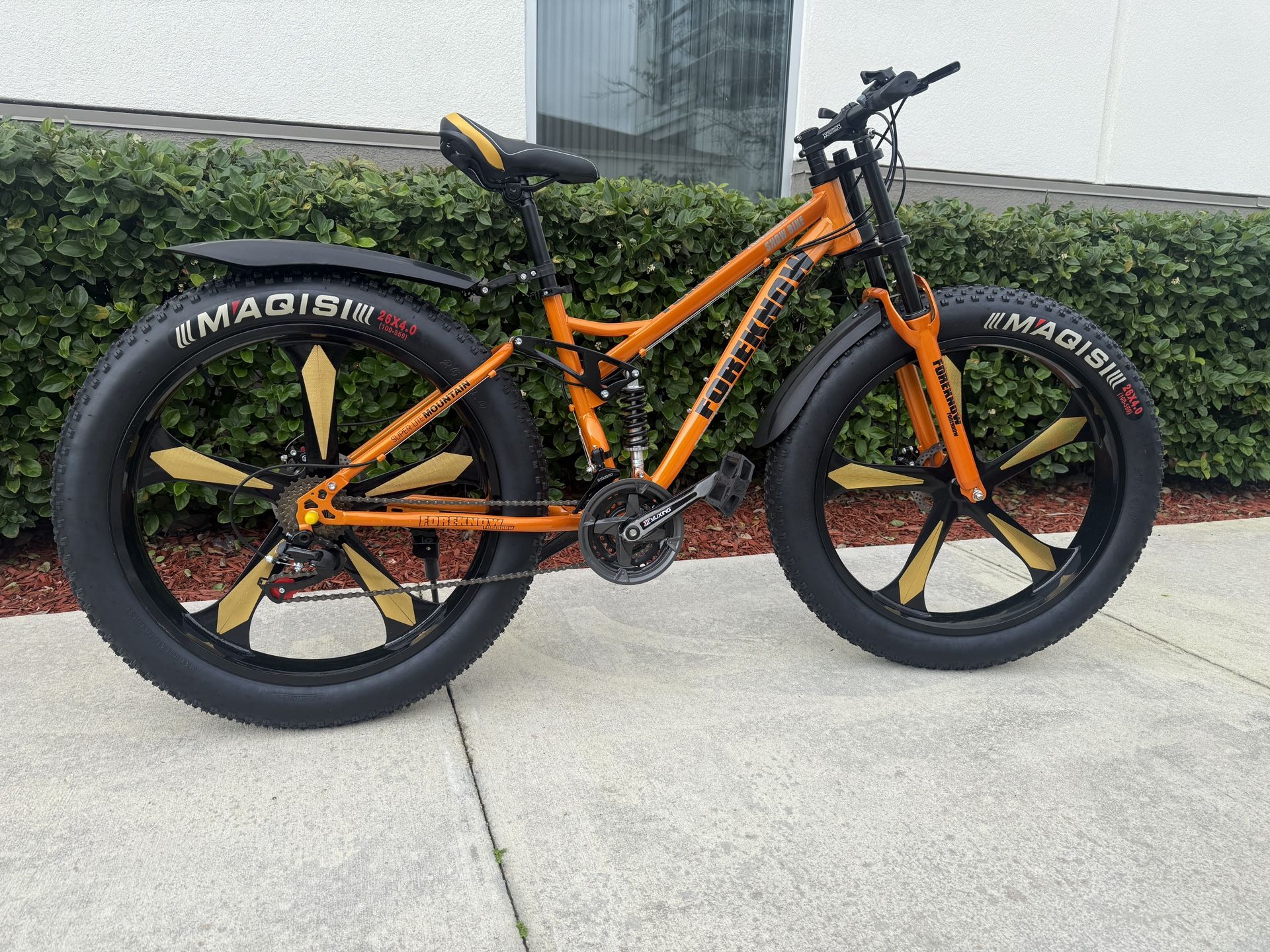 New Bike Fat Tires