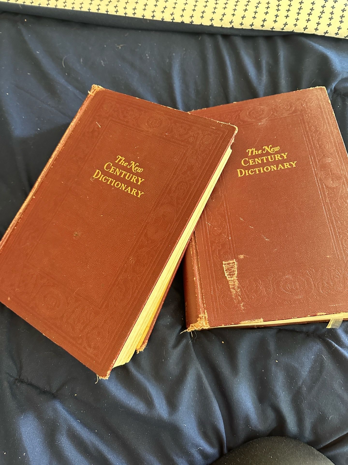 Vintage Dictionary Set