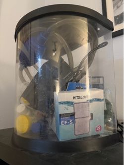 Beta fish tank and setup