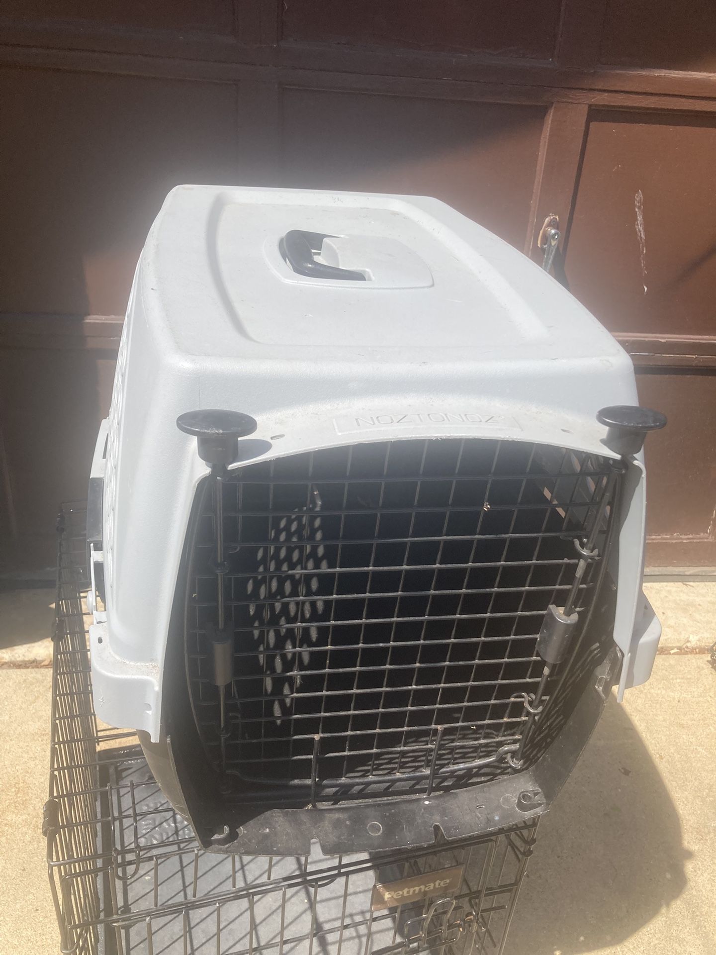 Medium Size Per Carrier