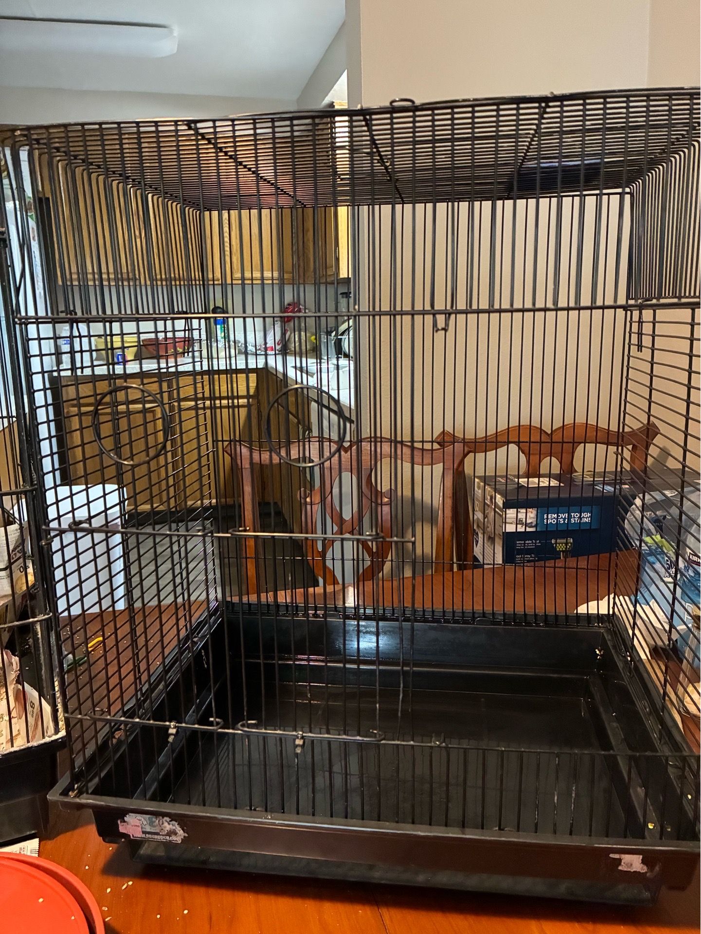 Bird Cage