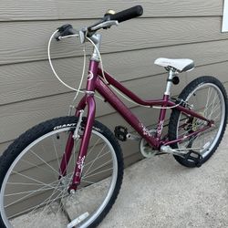 Aluminum Bike GIANT Sz 24